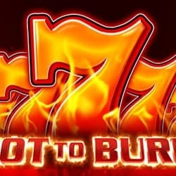Hot to Burn™ screenshot